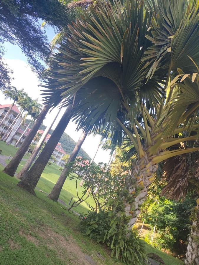 Appartement 2 A 6 Personnes Dans Un Magnifique Complexe De Vacances A Sainte-Luce Bagian luar foto